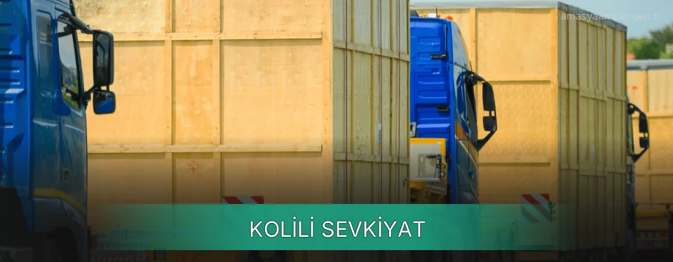 Amasya Kolili Sevkiyat Ambar Firmaları